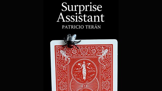 Surprise Assistant by Patricio Teran - Video Download