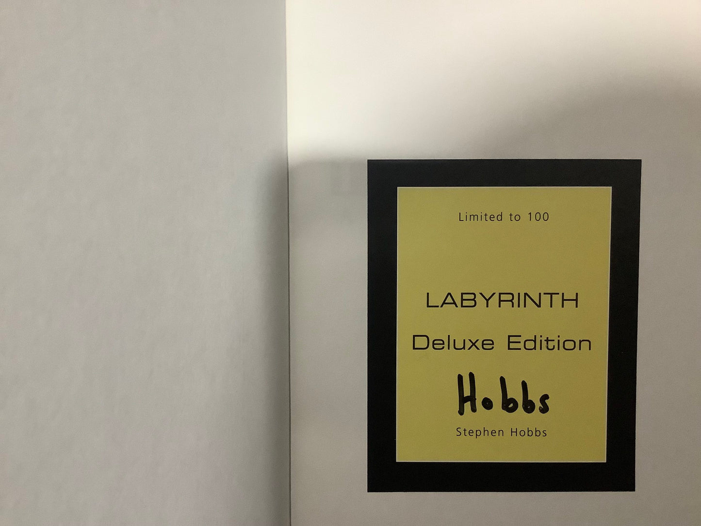 Labyrinthe, un journal de magie en gros plan, Stephen Hobbs