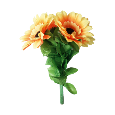 Amazing Split Sunflower by Premium Magic - Trick