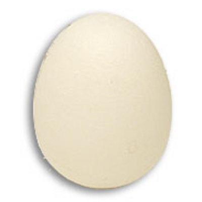Foam Egg, 1 egg is 1 unit Goshman