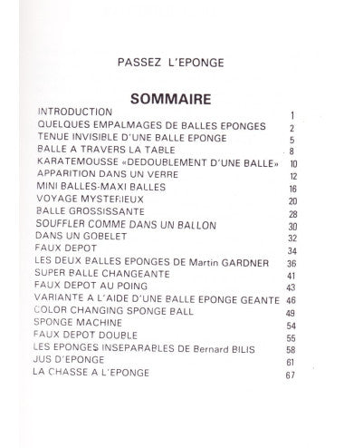 PASSER L'ÉPONGE - LIVRE FRANÇAIS 