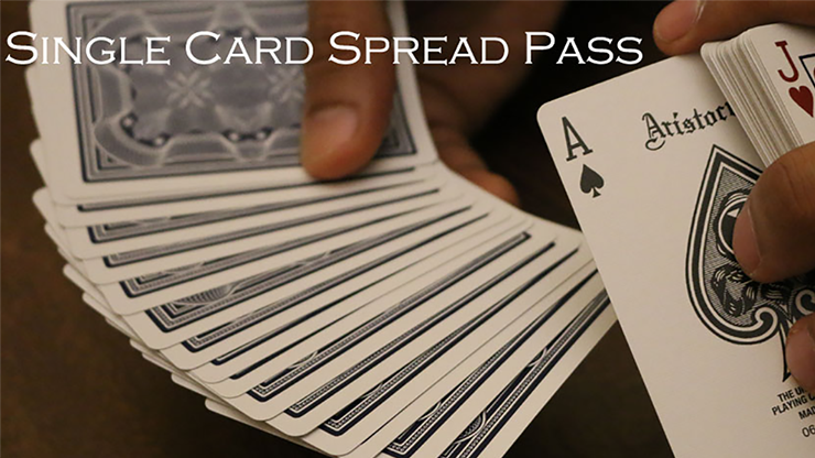 Magic Encarta Presents Single Card Spread Pass by Vivek Singhi - Video Download