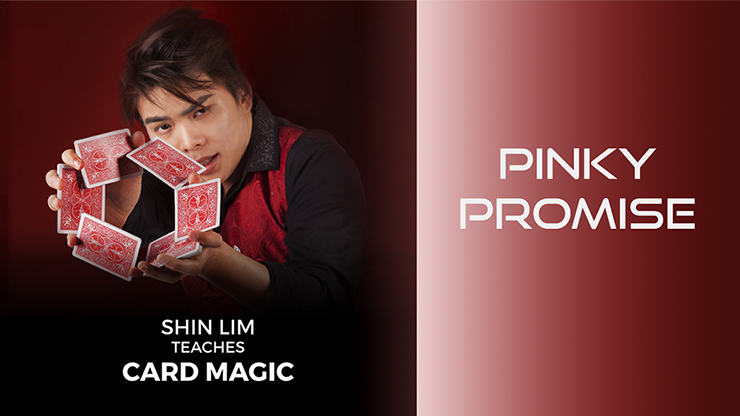 Pinky Promise 1 and 2 by Shin Lim (Single Trick) - Video Download