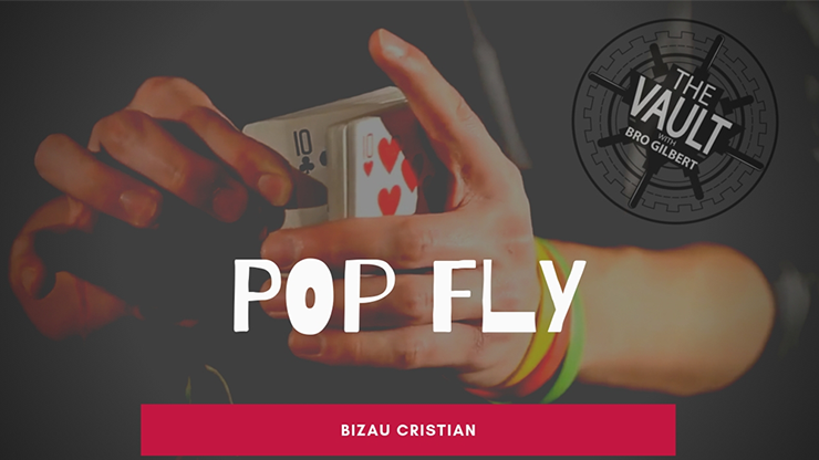 The Vault - Pop Fly by Bizau Cristian - Video Download