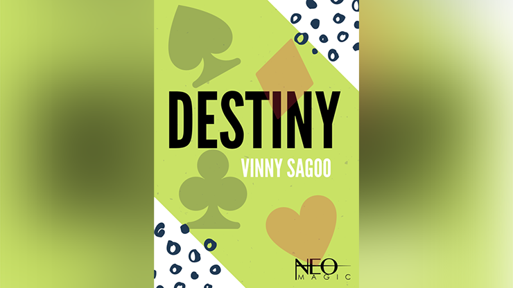 Destiny by Vinny Sagoo - ebook