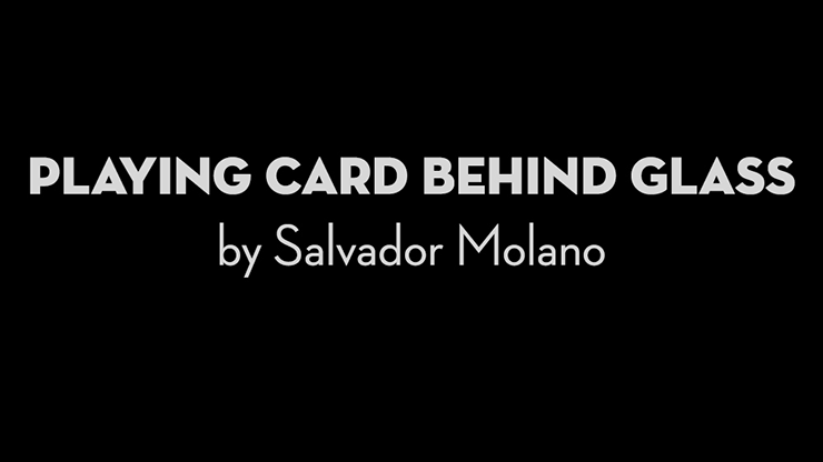 Playing Card Behind Glass by Salvador Molano - Video Download