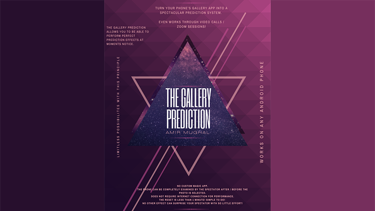 The Gallery Prediction by Amir Mugha - Video Download