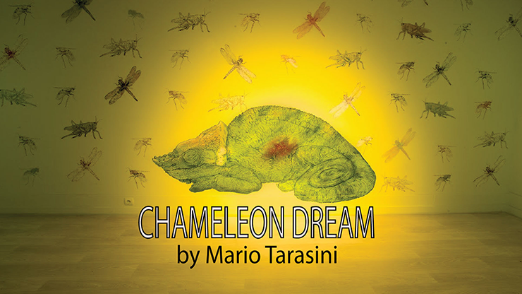 Chameleon Dream by Mario Tarasini - Video Download