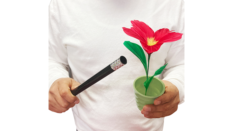 Magic wand with shop flowers