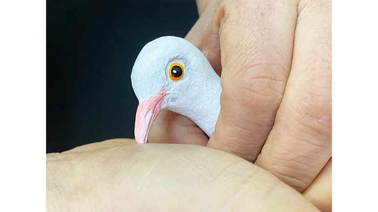 FINGER DOVE by JL Magic - Trick