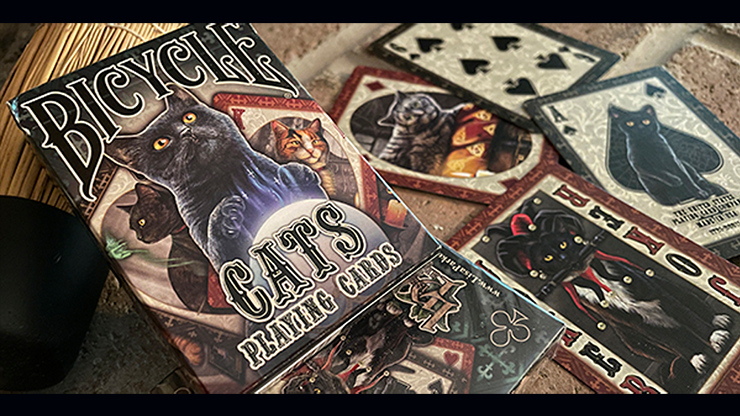 Bicycle Cats Playing Cards