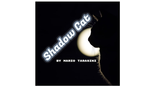 Shadow Cat by Mario Tarasini - Video Download