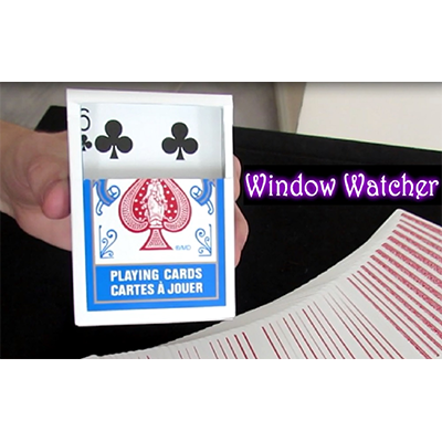 Window Watcher by Aaron Plener - - Video Download